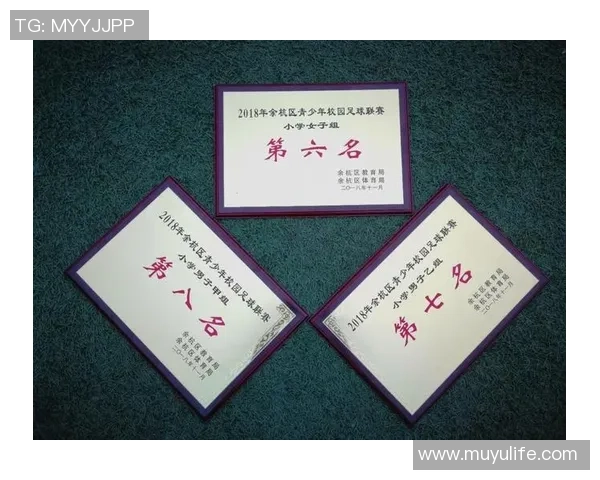 成都足球队与深圳足球队赛后心理素质分析与反思